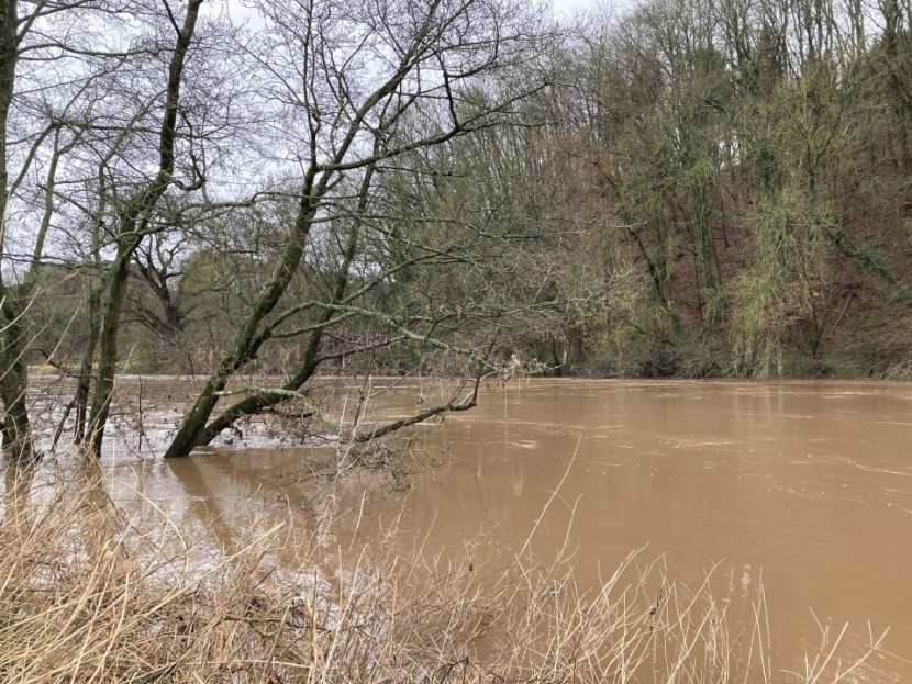 Flood fishing - BA from Epsom